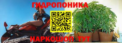 spice Кунгур