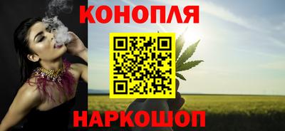 spice Кунгур