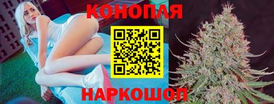 spice Кунгур